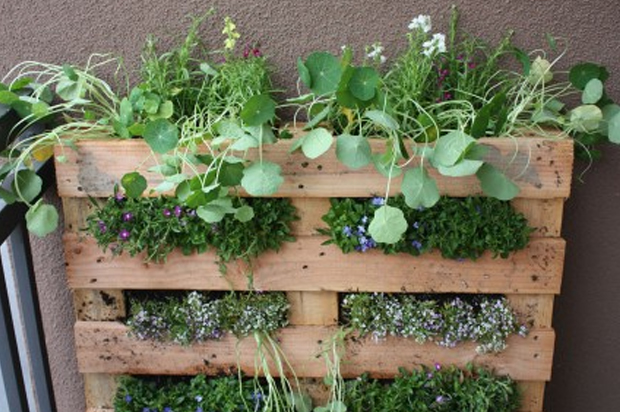 Як використати вантажні палети в дизайні інтер’єру